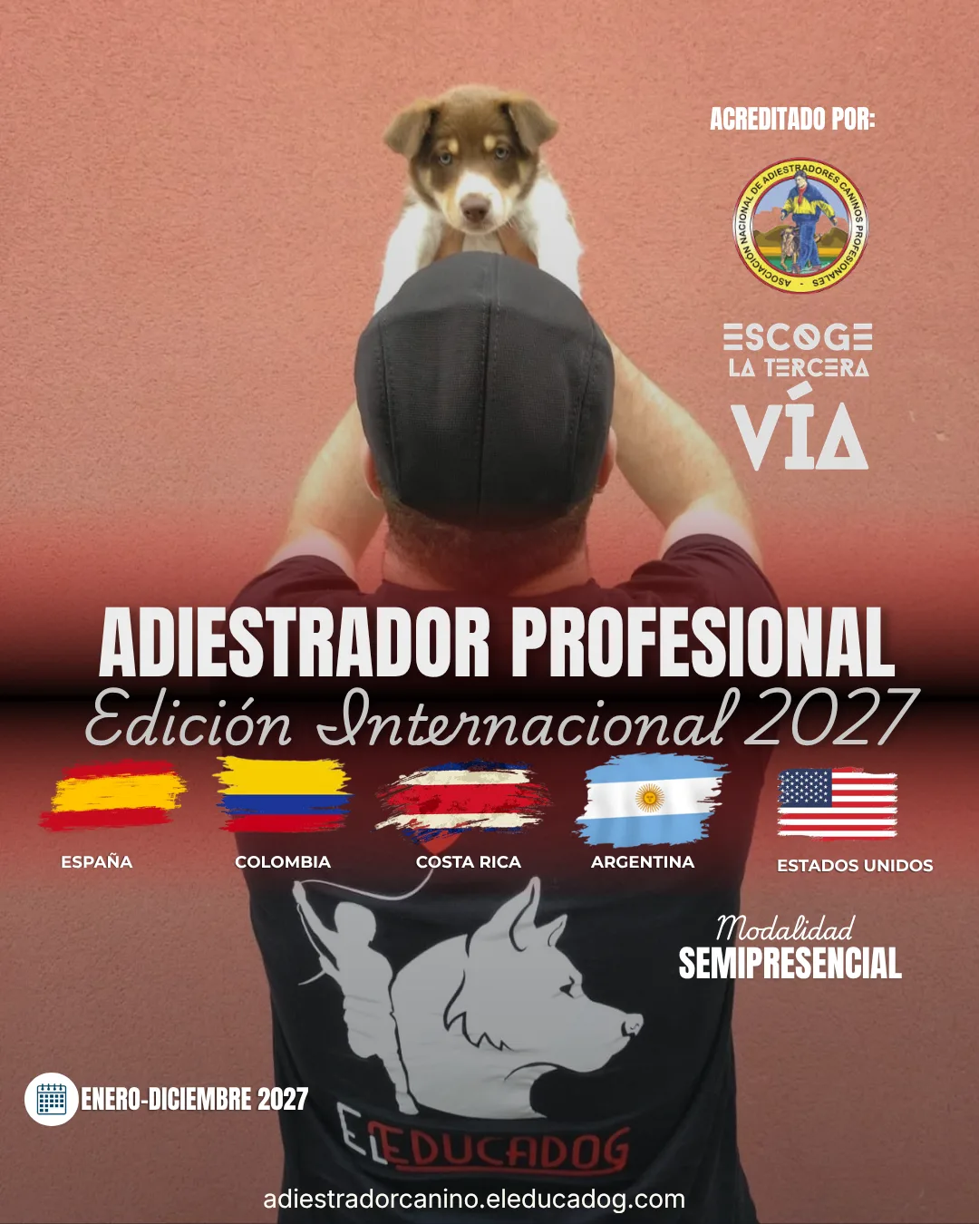 Cartel Adiestrador Profesional · Edición Internacional 2027